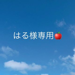 はる様専用🍎(アート/エンタメ/ホビー)