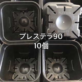 プレステラ 90 黒 10個(プランター)