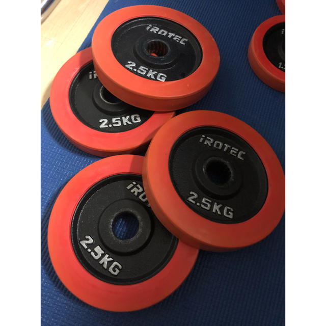 最終値下げ　Wシャフト　プレート2.5kg×4 EZバー　IROTEC ダンベル スポーツ/アウトドアのトレーニング/エクササイズ(トレーニング用品)の商品写真