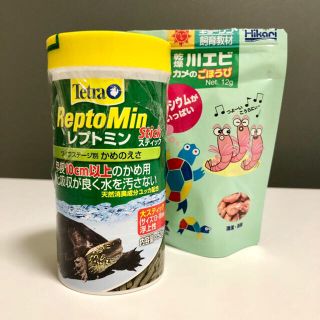 テトラ(Tetra)のサンチー様　専用(爬虫類/両生類用品)