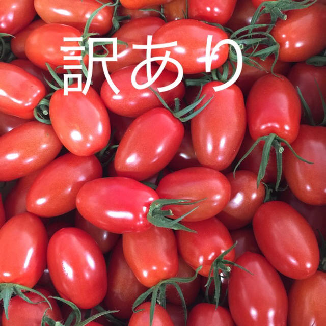 訳あり アイコ 3.5kg 食品/飲料/酒の食品(野菜)の商品写真