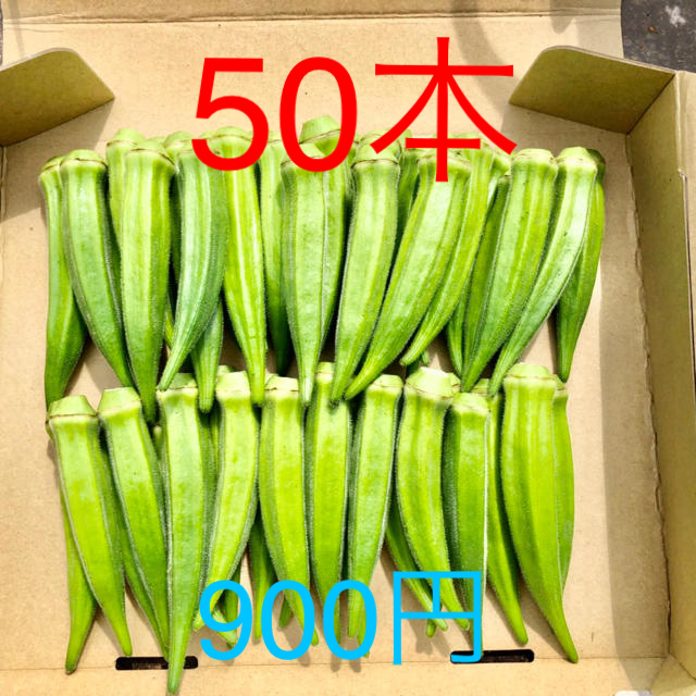 熊本県八代産　オクラ　(ブルースカイ)朝摘み　おくら 食品/飲料/酒の食品(野菜)の商品写真