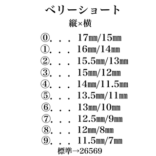 【ЯAN 様】No.25 アイスグレー シルバーリング コスメ/美容のネイル(つけ爪/ネイルチップ)の商品写真