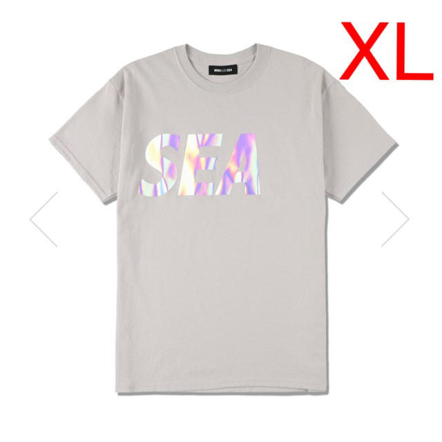SEA (IRIDESCENT) T-SHIRT﻿ / GRAY XL