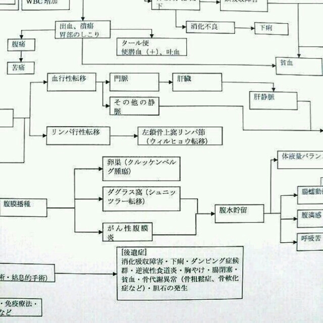 癌 関連図 看護