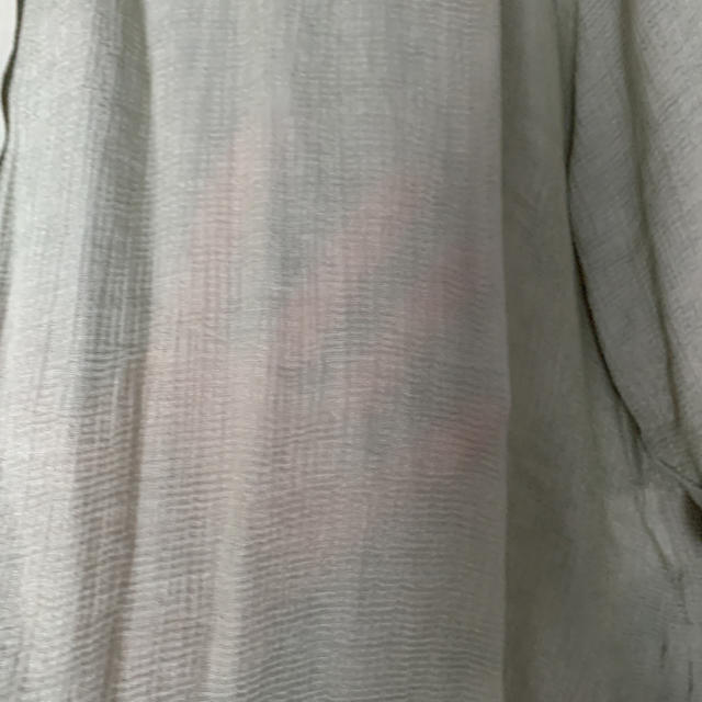 w closet(ダブルクローゼット)のダブルクローゼット　ビックシアーシャツ レディースのトップス(シャツ/ブラウス(長袖/七分))の商品写真