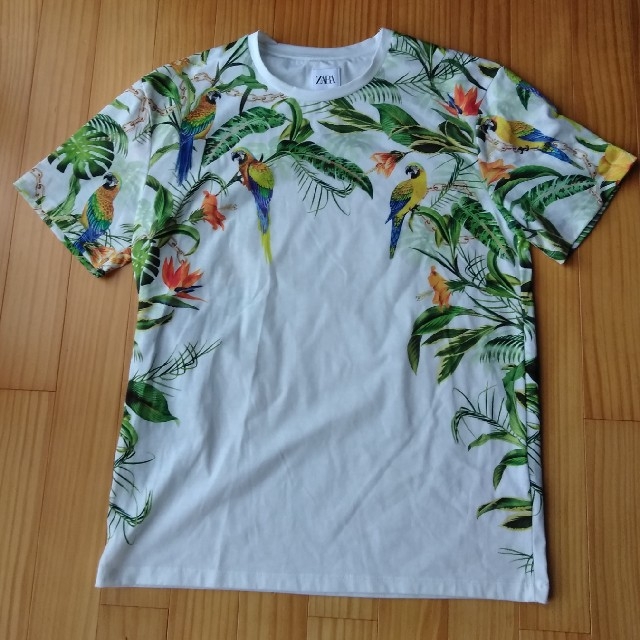 ZARA(ザラ)のZARA　柄T  S メンズのトップス(Tシャツ/カットソー(半袖/袖なし))の商品写真