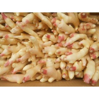 サービス中　高知産　訳ありハウス新生姜　約４Kg　家庭用(野菜)
