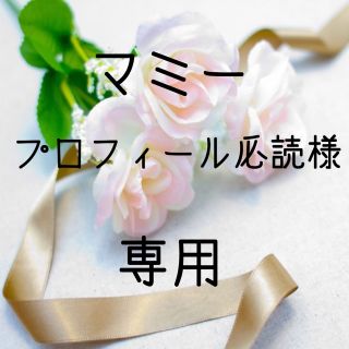 マミー様専用  お米　令和元年　愛媛県産コシヒカリ　玄米　30㎏(米/穀物)