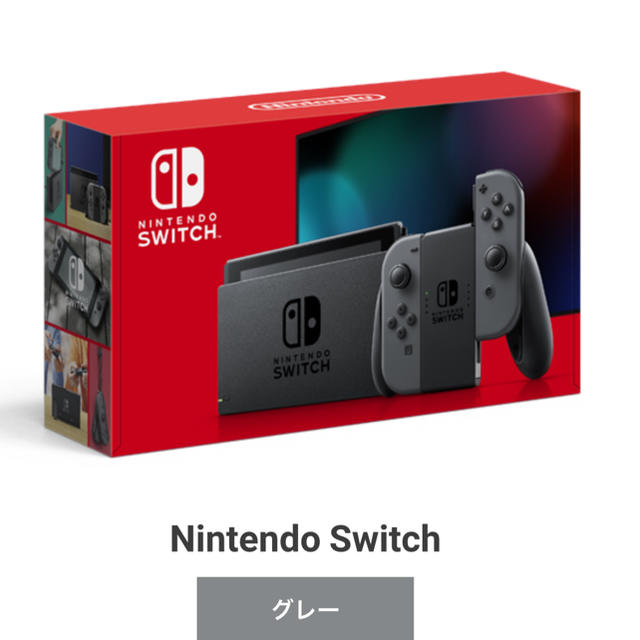 Nintendo  Switch 新品未使用　グレー