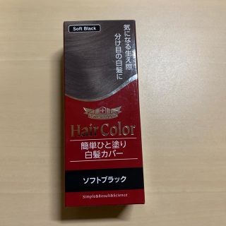 ドクターシーラボ(Dr.Ci Labo)のドクターシーラボ 簡単ひと塗り白髪カバー ソフトブラック(10mL)(白髪染め)