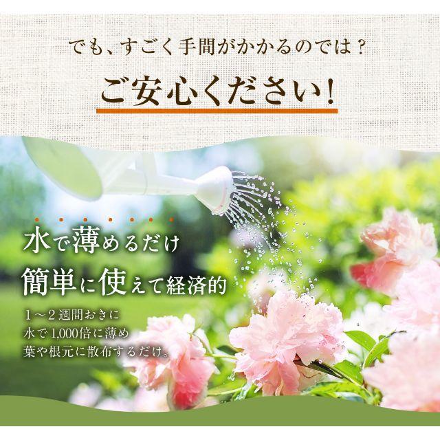 【ローヒー様専用】万田アミノアルファプラス 100ml 液体 肥料 インテリア/住まい/日用品のインテリア/住まい/日用品 その他(その他)の商品写真