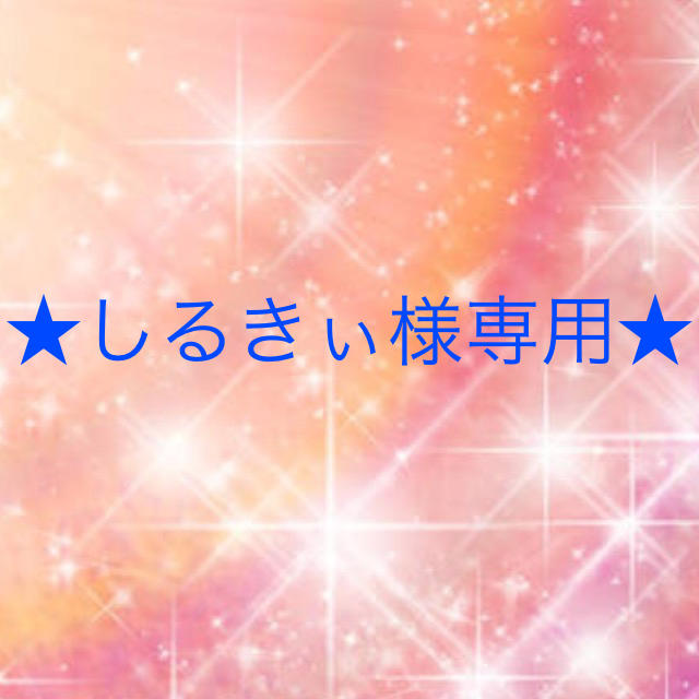 しるきぃ様専用 - www.copyflash.net