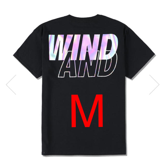 WIND AND SEA (iridescent) T-SHIRT