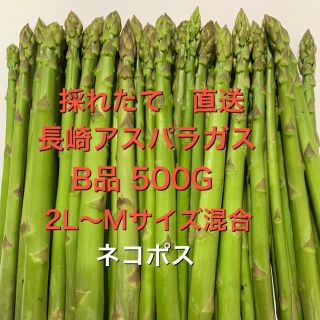 長崎産アスパラガス　B品 500G(野菜)