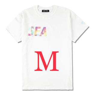 シュプリーム(Supreme)のWIND AND SEA middle (CS-220)(Tシャツ/カットソー(半袖/袖なし))
