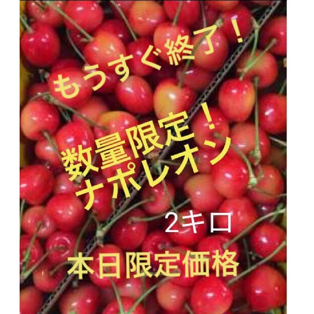 山形県産さくらんぼ ナポレオン 2キロ 食品/飲料/酒の食品(フルーツ)の商品写真