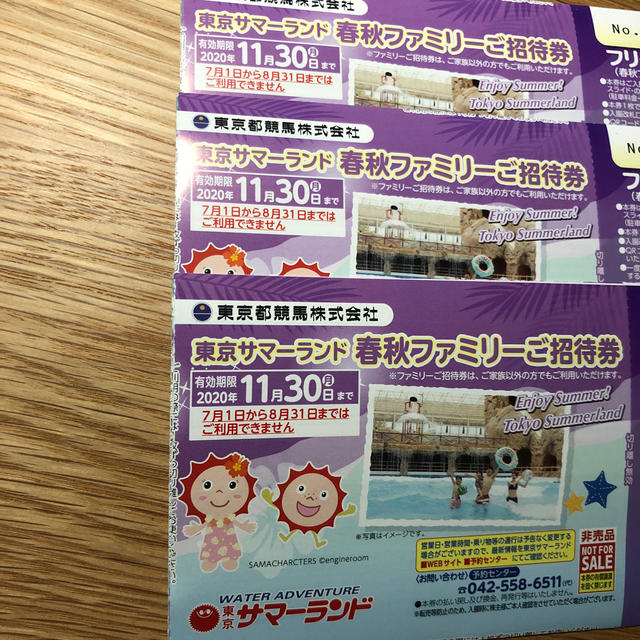 東京サマーランド 株主優待 3冊セット  2021年6月末まで有効 東京都競馬