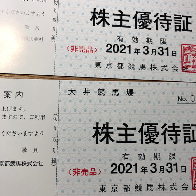東京サマーランド 株主優待 3冊セット  2021年6月末まで有効 東京都競馬