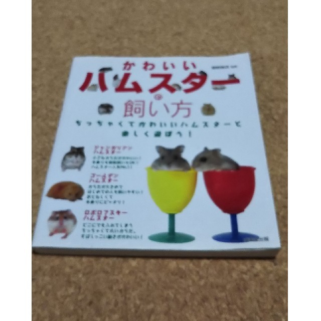 かわいいハムスタ－の飼い方 エンタメ/ホビーの本(住まい/暮らし/子育て)の商品写真