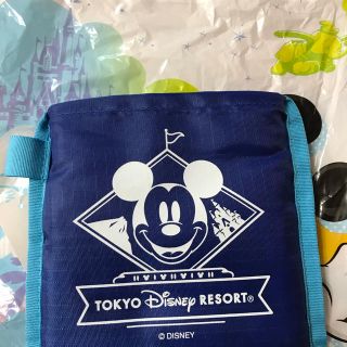 東京ディズニーリゾート限定 エコバッグ(キャラクターグッズ)