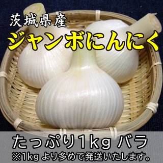 茨城県産ジャンボにんにく 食べ応えアリ たっぷり1kgバラ(野菜)