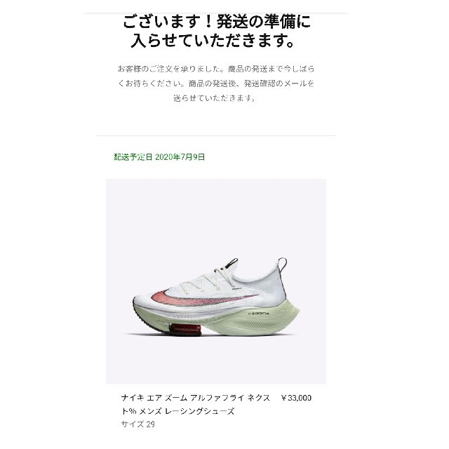 NIKE ALPHAFLY NEXT% ナイキ エアズームアルファフライネクスト