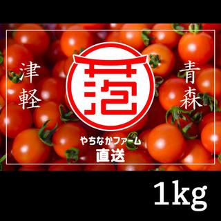 ☘️農学博士のミニトマト【Dr.トマト 1Kg】☘️〜青森津軽産〜(野菜)