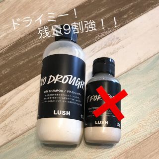 ラッシュ(LUSH)のLUSH ドライシャンプー(その他)