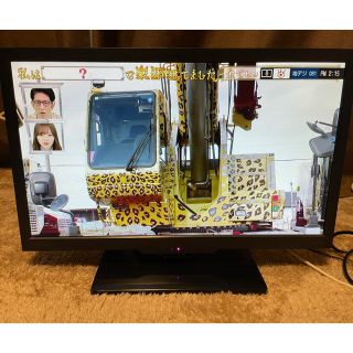 ドウシシャ(ドウシシャ)の19型液晶テレビ　RAPHAIE ドウシシャ(テレビ)