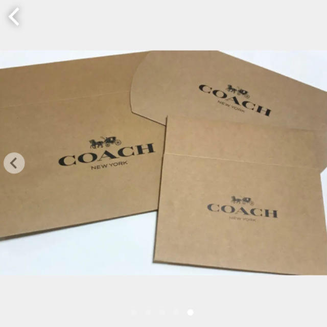 COACH ポーチ シグネチャー チェーン