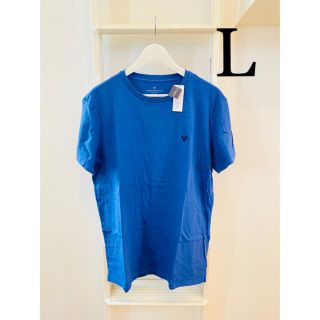 アメリカンイーグル(American Eagle)の新品未使用！タグ付き！アメリカンイーグル！ワンポイントTシャツ！(Tシャツ/カットソー(半袖/袖なし))