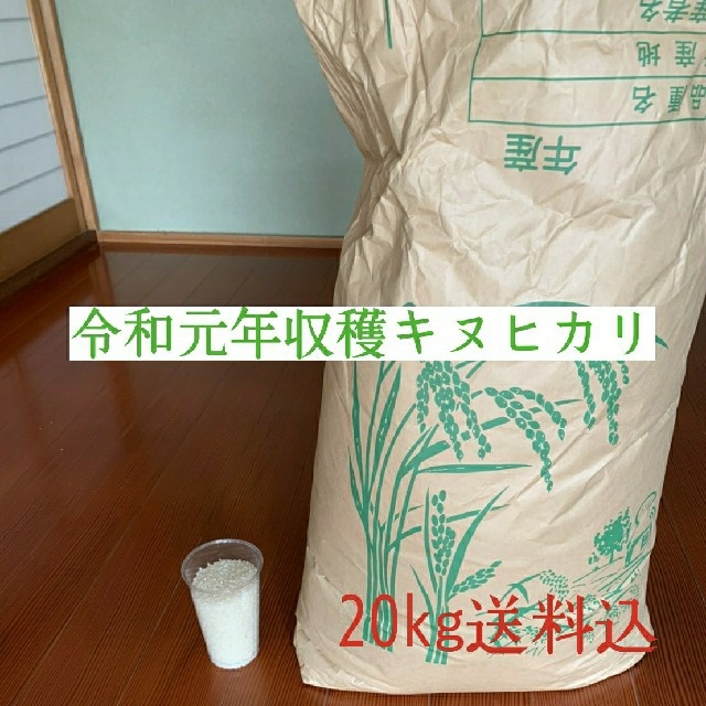 近江米 キヌヒカリ 米 玄米 白米 ご飯 飯 御飯 20㎏ 送料込米/穀物