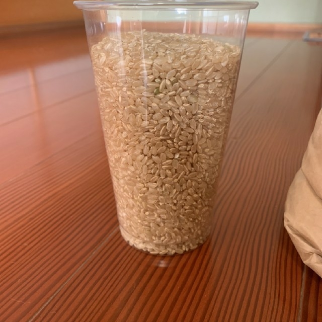 近江米 キヌヒカリ 米 玄米 白米 ご飯 飯 御飯 20㎏ 送料込米/穀物