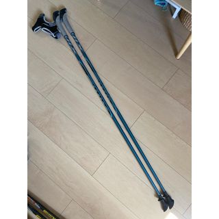 スウィックス(SWIX)のSWIX ノルデックウォーキング用ポール　約110cm(ストック)