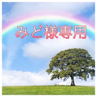 健康第一  完全無農薬⭐みど様専用 おぼろづき玄米10㌔(米/穀物)