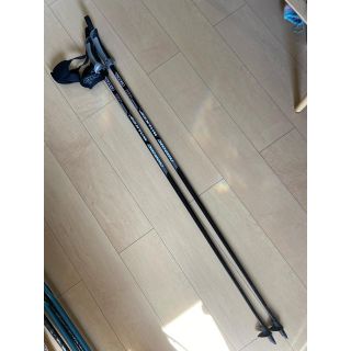 レキ(LEKI)のexel ノルディックウォーク用ポール　110cm(ウォーキング)