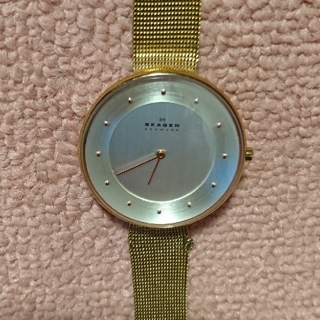 SKAGEN(スカーゲン)のスカーゲン 腕時計 SKW2142 中古 レディースのファッション小物(腕時計)の商品写真