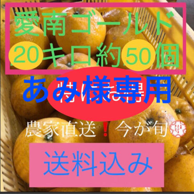 愛媛県産 農家直送 愛南ゴールド(河内晩柑) 食品/飲料/酒の食品(フルーツ)の商品写真