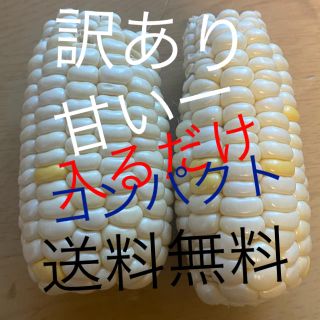 専用訳ありホワイト2箱割引‼️(野菜)