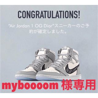 ディオール(Dior)のAirDior 【myboooom様専用】 片足(スニーカー)