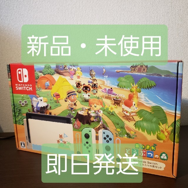 あつまれどうぶつの森 同梱版 Switch 本体