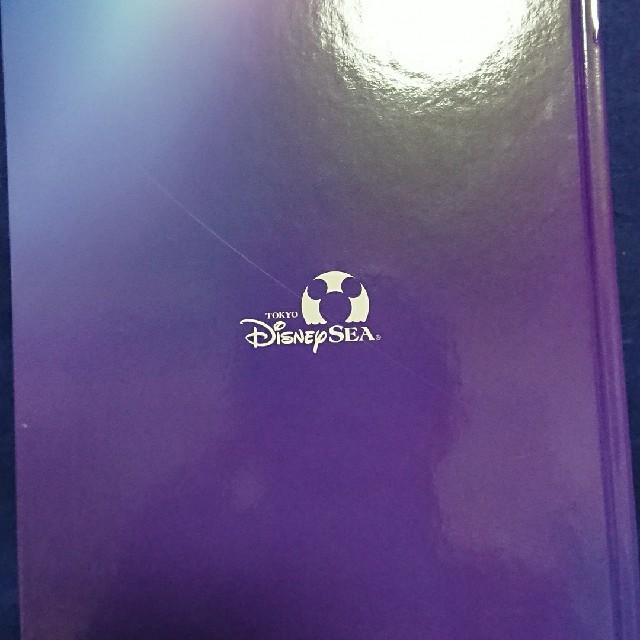 Disney ディズニーシー 15年 バレンタインナイト パンフレット 写真集の通販 By めめぽん S Shop ディズニーならラクマ