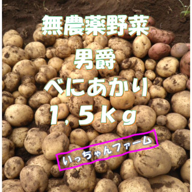 にゃさん様　無農薬野菜　新ジャガ　男爵　べにあかり　１，５ｋｇ 食品/飲料/酒の食品(野菜)の商品写真