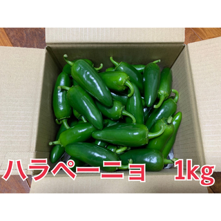 ハラペーニョ　1kg(野菜)