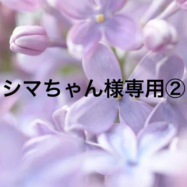 シマちゃん様専用② オリジナル vivacf.net
