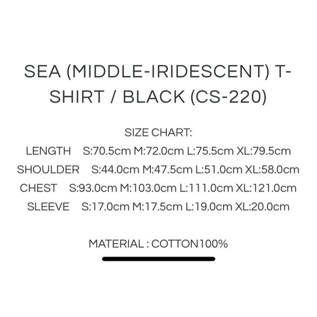 Wind and sea MIDDLE IRIDESCENT Tシャツ　黒　L 1