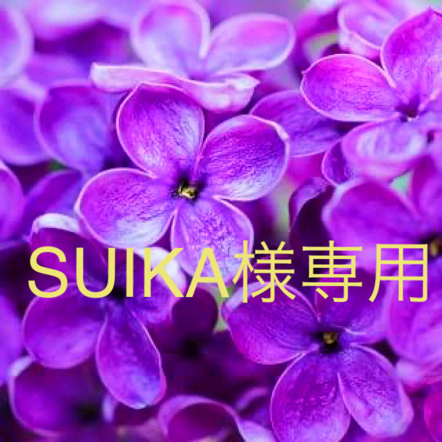 SUIKA様専用ページ-