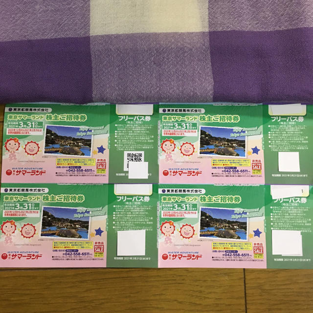 東京サマーランド　株主優待　最新　フリーパス券4枚　7月8月利用可 チケットの施設利用券(遊園地/テーマパーク)の商品写真