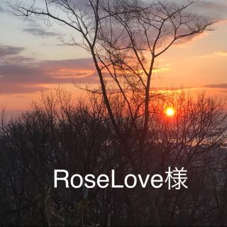 RoseLove様専用(美容液)